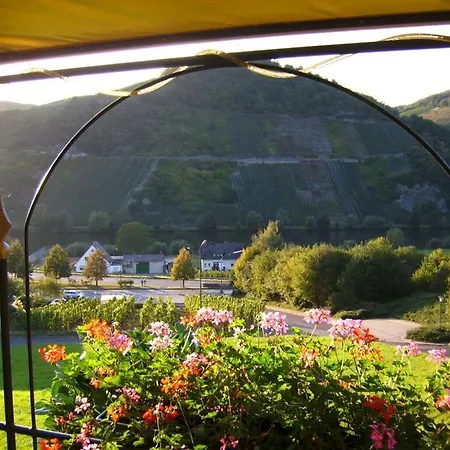 Tatil Evi Moselblick