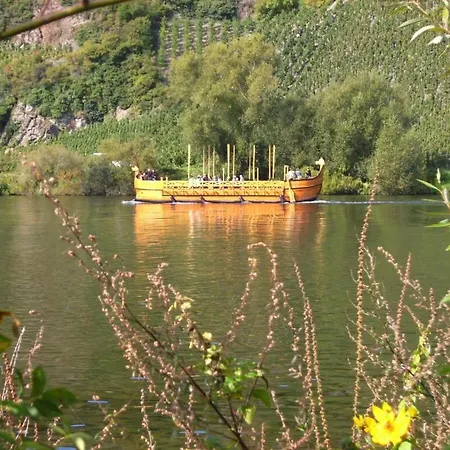 Tatil Evi Moselblick